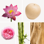 Preview: Duftnoten: Lotusblume, Nashi-Birne, Pfingsrose, Bambus, Sandelholz